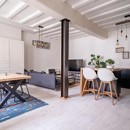 Apartment Loft En Coeur De Plumereau Tours