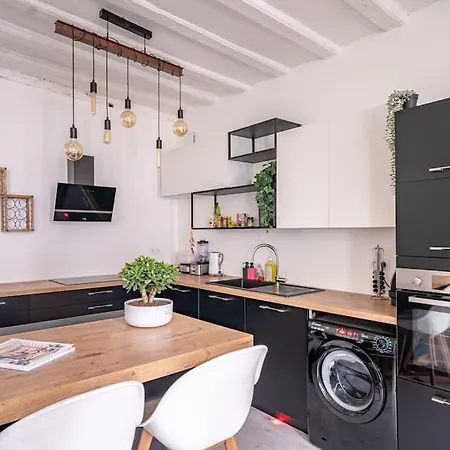 Loft En Coeur De Plumereau * Tours